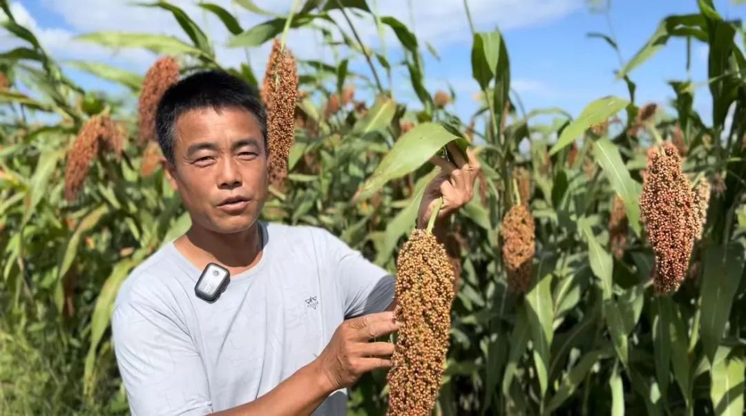 捕鱼游戏大厅免费